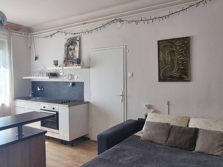 Cosy 2 Room Apartment With Nice Vibe, For Up To 4 Lublana Zewnętrze zdjęcie
